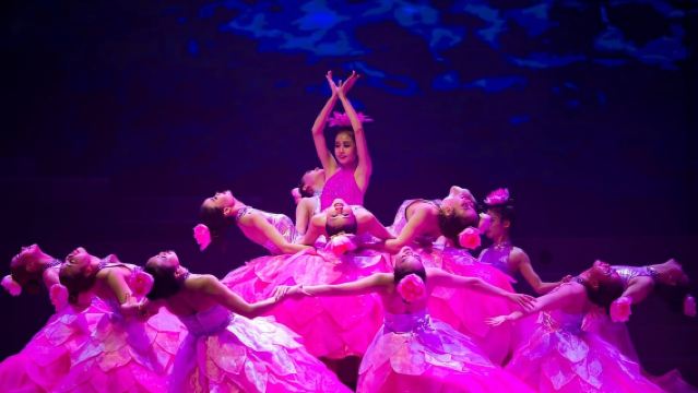 Da Nang : Ticket de spectacle/concert pour le charmant spectacle de Da Nang