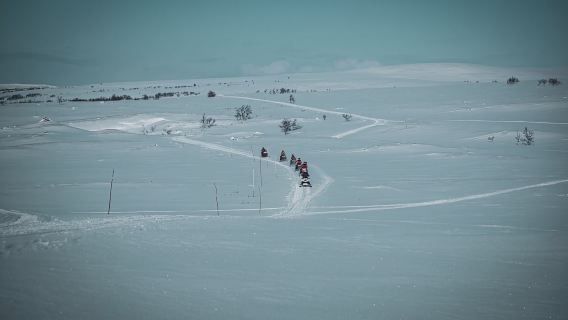 From Alta: Daytime Snowmobile Adventure
