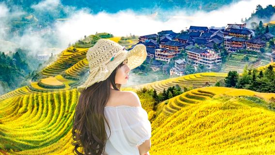 桂林龍脊梯田+金坑梯田一日遊【純玩8人小團|上門接駁】