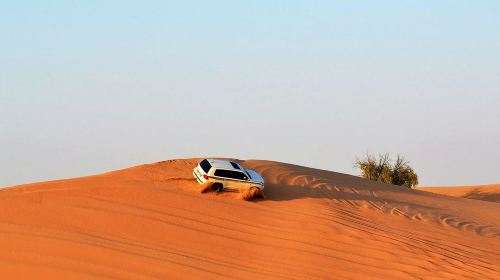 Ras Al Khaimah Desert Safari with Shared Transfer/Private Charter Option [Hotel Pick-up & Drop-off] Day Tours 8