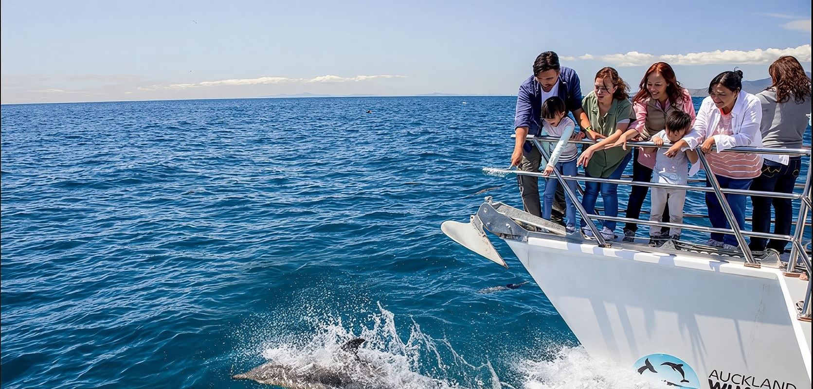 Whale/Dolphin Safari in crociera nella baia di Hauraki, Auckland, Nuova Zelanda