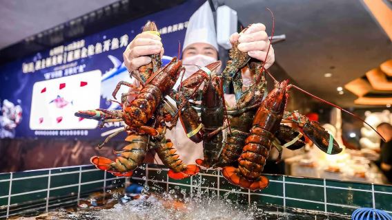 [Chengdu] IFS Yongronghui Seafood Buffet Restaurant (Seafood Feast + Luxurious Dining + Premium Service + Elegant Ambience)