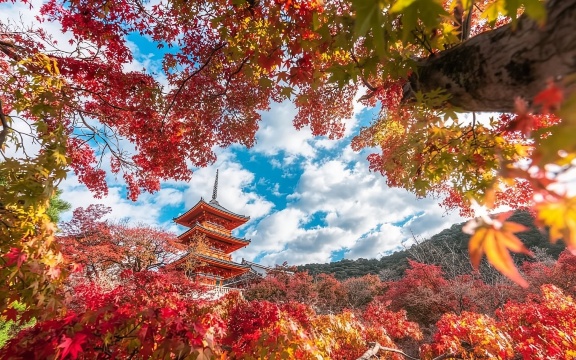 Japan|Nineizaka (Ninenzaka) + Byodo-in Temple + Kiyomizu-dera Temple + Kinkaku-ji|Round-trip private