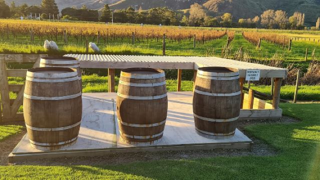 最低価格 ネーピア発: ホークスベイ 小グループ ワインキャピタルツアー