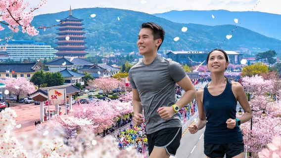 Pendaftaran Maraton Bunga Sakura Gyeongju 2026