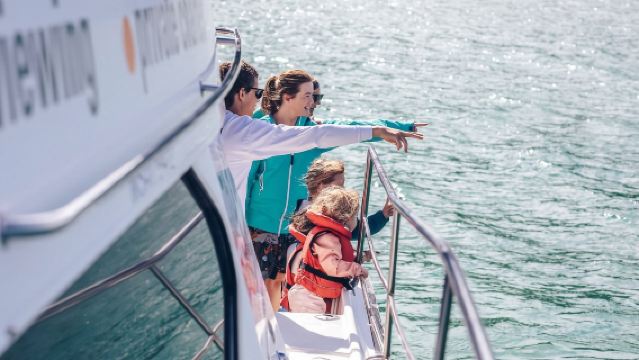 Akaroa Harbour Nature Cruise in New Zealand (Encounter Rare Hector's Dolphins, Charming Birds, New Zealand Fur Seals, and White-Flippered Penguins Along the Way)