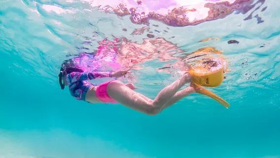 Tour lặn biển Krabi - Đảo Phi Phi + Đảo Bamboo + Vịnh Maya tour 1 ngày bằng tàu cao tốc bao gồm bữa ăn và đưa đón