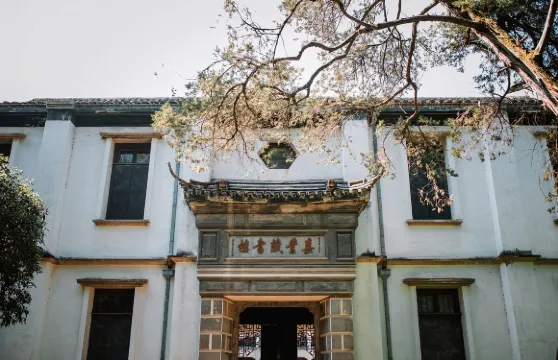 2人起私家團烏鎮西柵南潯古鎮一日遊杭州上海上門接送