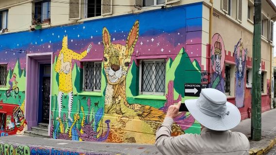 Valparaíso & Viña del Mar Tour with Casablanca Wine Tasting