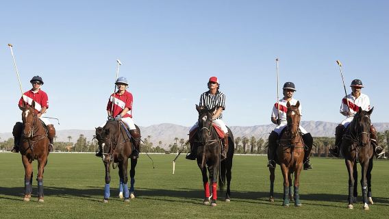 Polo Match, BBQ and Lesson Day-Trip from Buenos Aires