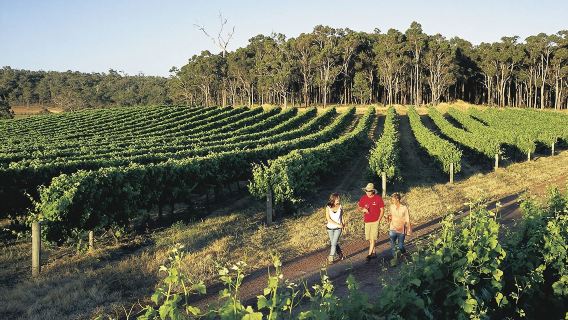 マーガレット・リバーワンデーツアー【パース送迎 マンモス・ケーブ+バッセルトン桟橋+灯台】
