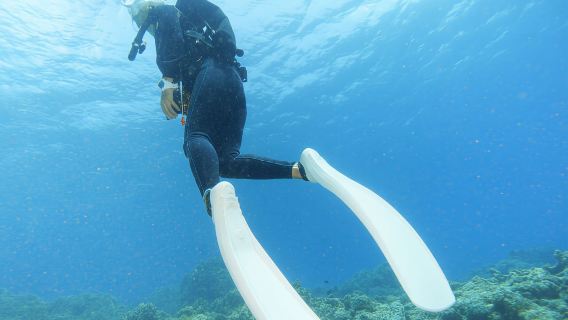 沖縄  シュノーケル専門店 NEO 石垣島