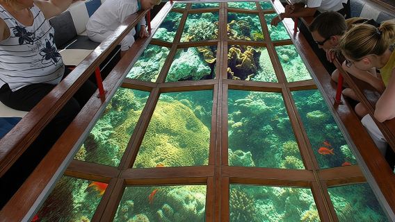 Escursione in barca con fondo di vetro a Sharm El Sheikh