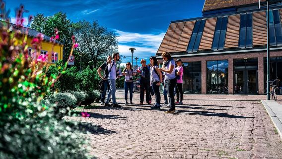 Visita guiada privada a pie por la ciudad de Oslo