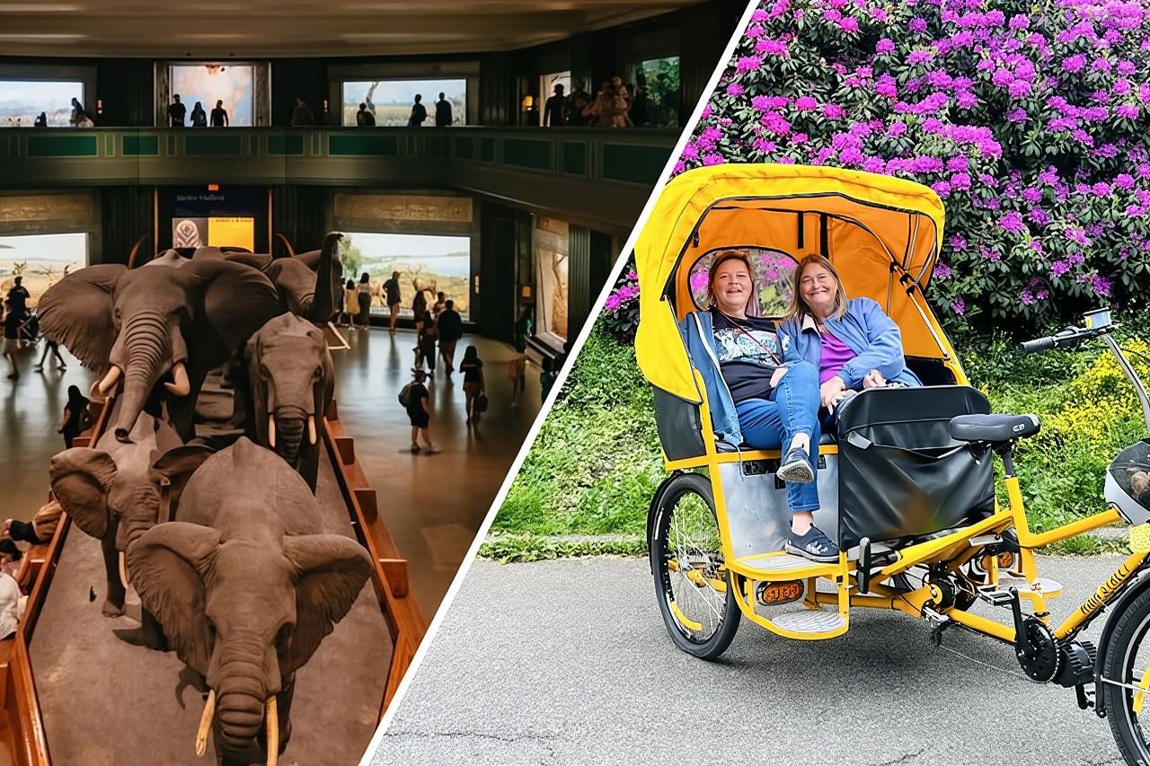 Central Park Pedicab Tour with Natural History Museum Access