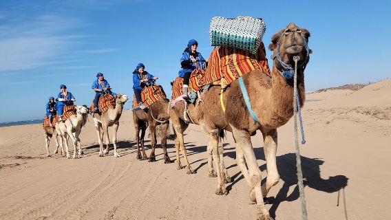 Essaouira 1-Hour Discovery Ride on a Camedary