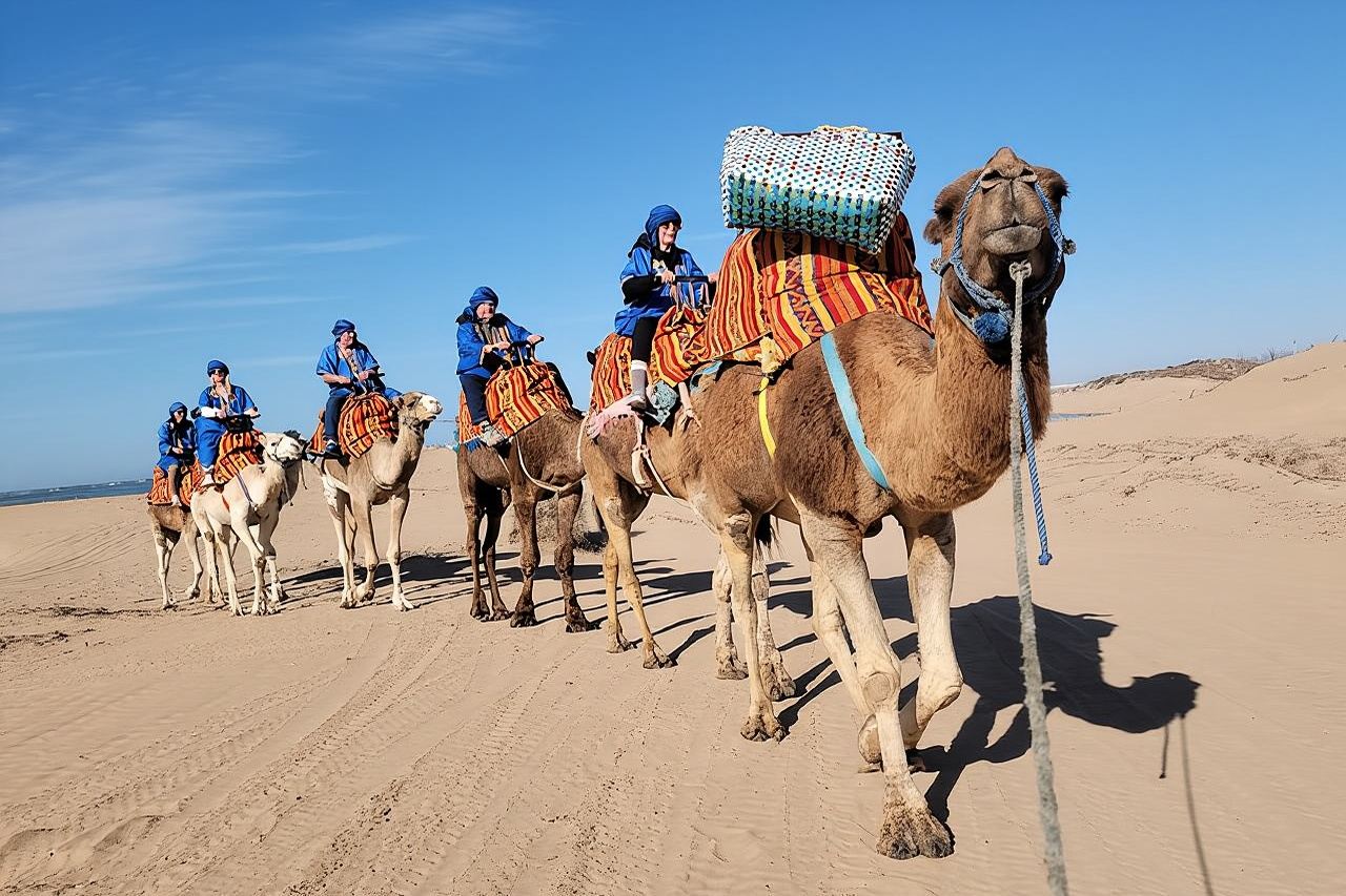 Chuyến đi khám phá Essaouira kéo dài 1 giờ trên xe Camedary