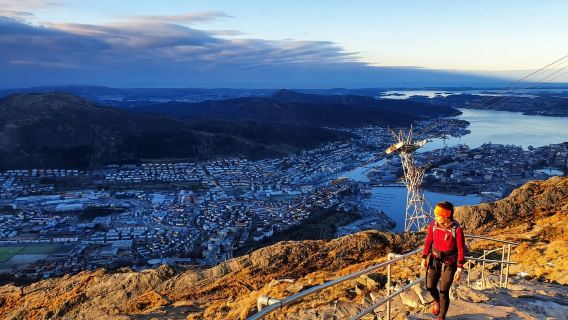 Norway + Bryggen + Høkensund Palace + Juliken Cable cable car+ Bergen one-day tour