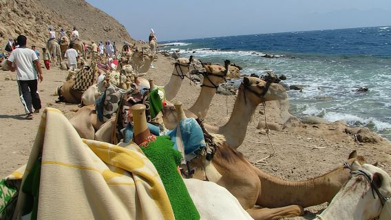 Three Pools snorkeling, 4x4 Oasis safari, camel ride, lunch in Dahab