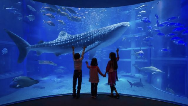 日本大阪樂高探索中心+大阪城-可定制【中文專車-舒適純淨】