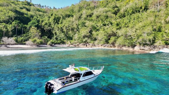 Bali Penida Island + Nusa Lembongan + Kelingking Beach Day Tour (Small English-Speaking Group)