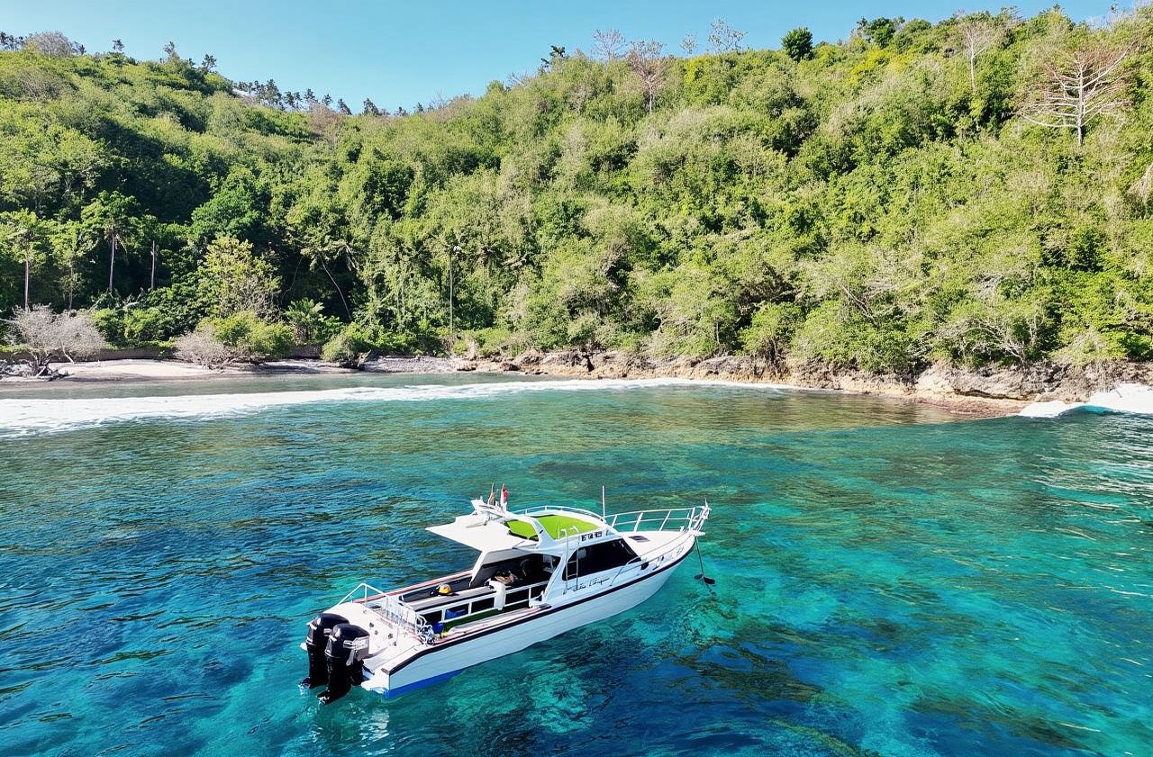 Bali Penida Island + Nusa Lembongan + Kelingking Beach Day Tour (Small English-Speaking Group)