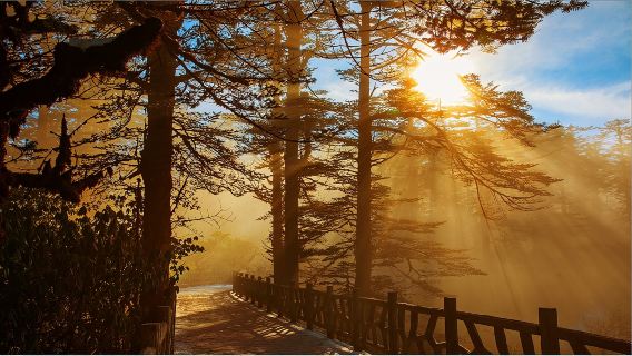 瓦屋山一日遊【真純玩接駁車+可選含索道的組合】