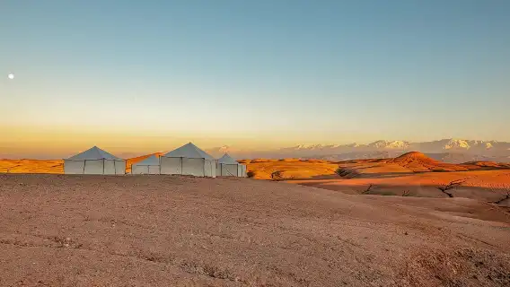 Dinner Show in Agafay Desert with Quad Bike & Camels