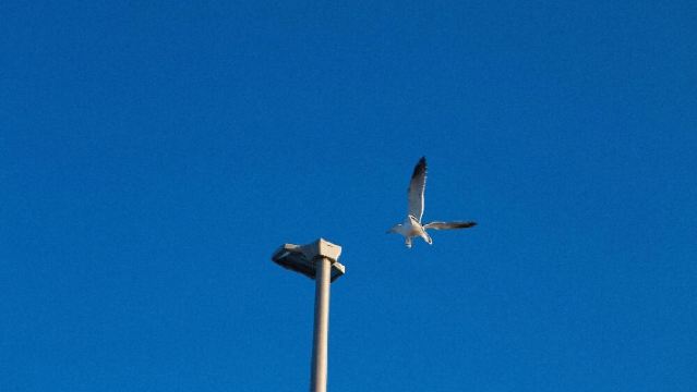 日本大阪+神戶塔+兵庫縣立美術館一日遊/行程可調-可訂製多日