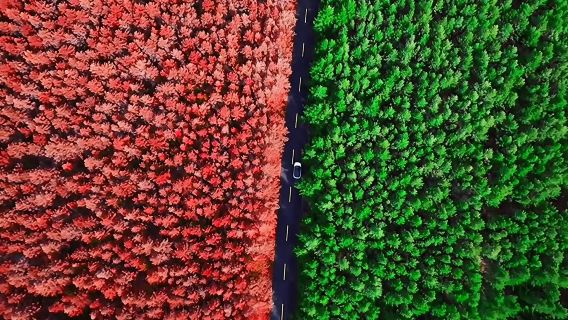 呼和浩特哈達門森林公園一日遊丨純玩丨可選2-8人精品小團