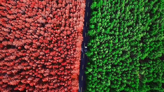 Hohhot Hadamen Forest Park 1-day tour | Pure play | Optional 2-8 person premium small group