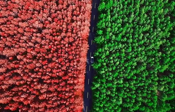 呼和浩特哈達門森林公園一日遊丨純玩丨可選2-8人精品小團