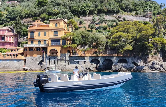 小型團體波托菲諾及聖弗魯托索遊船之旅