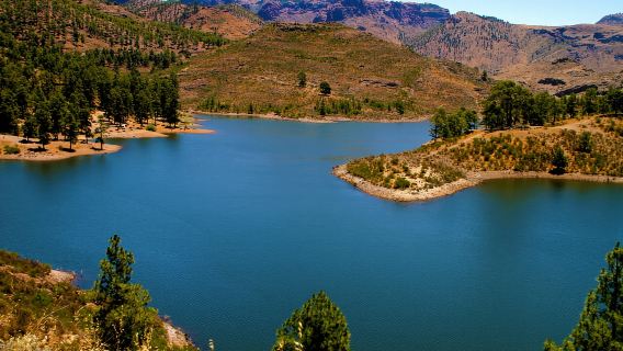 Gran Canaria Highlights Full-Day Tour by Bus