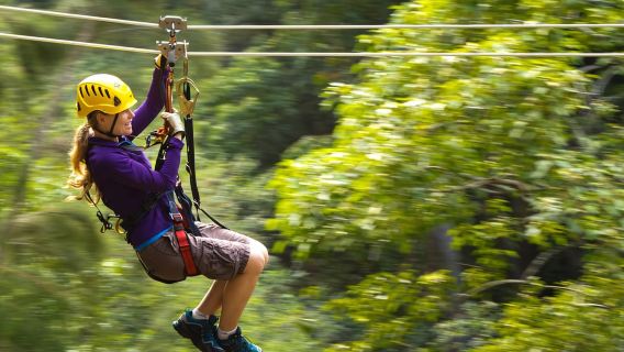 Big Island: 3-Hour Kohala Canopy Zipline Adventure