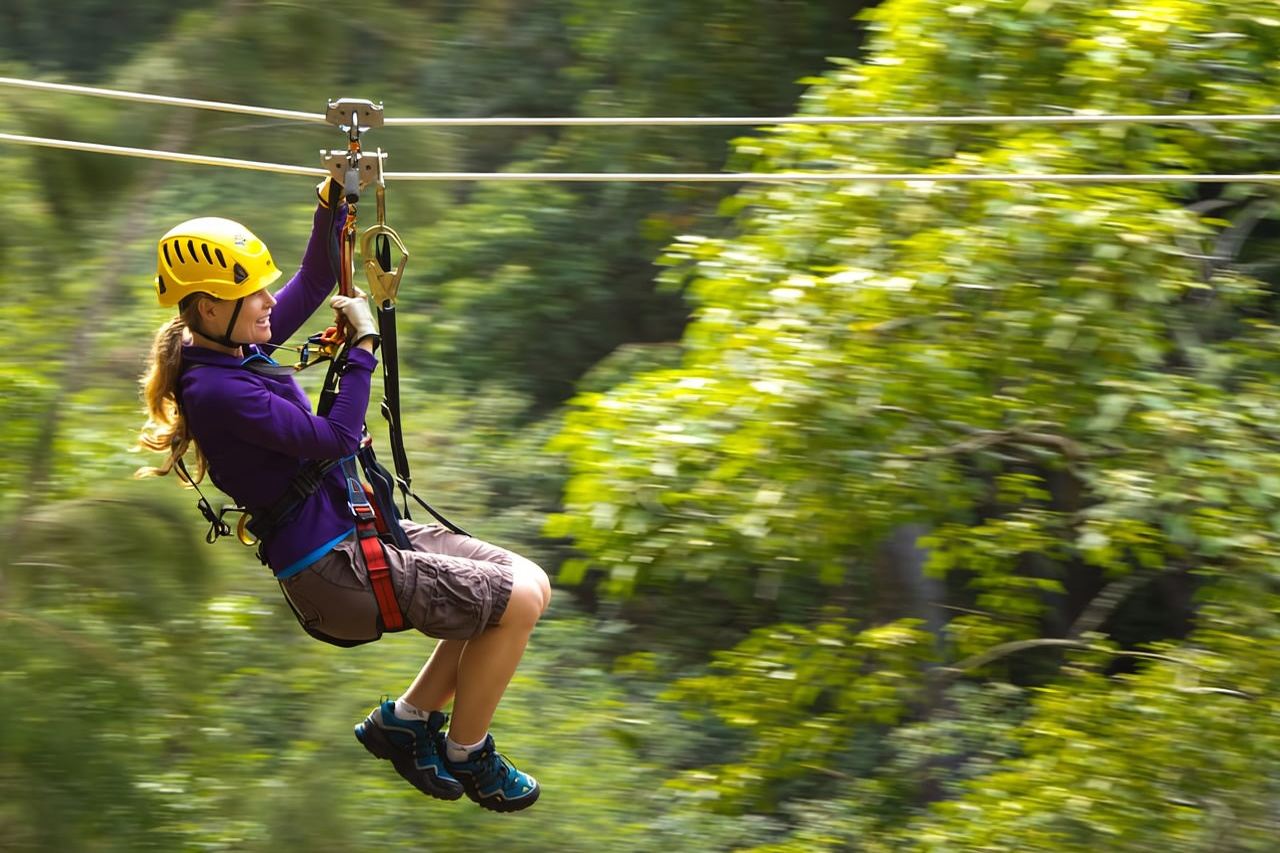 Big Island: 3-stündiges Kohala Canopy Zipline-Abenteuer