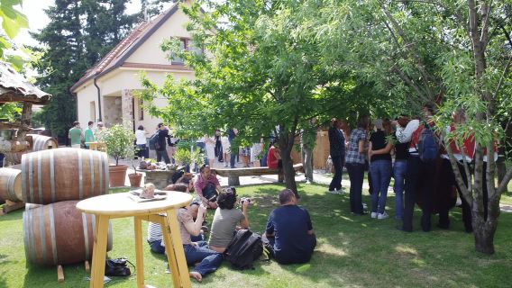 Modra: Private Wine Tasting at a Family-Operated Winery