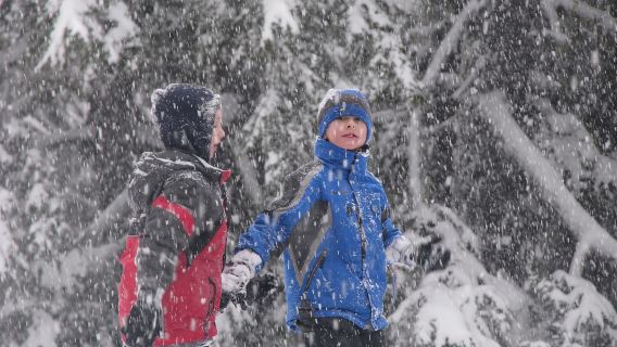 Bend: Half-Day Snowshoe Tour in the Cascade Mountain Range