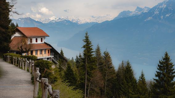 Interlaken: Capture the most Photogenic Spots with a Local