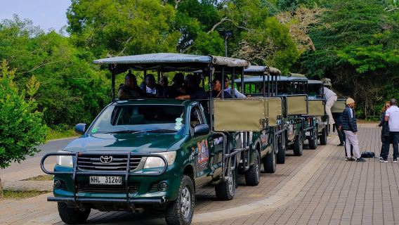 St Lucia: iSimangaliso Wetland Park: Full-Day/Half-Day Tour