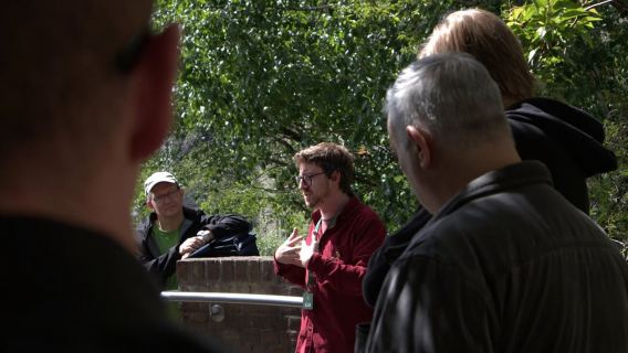 Dublin: Lawatan Berjalan Kaki Mitologi, Cerita Rakyat dan Legenda