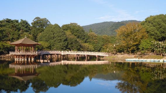 Nara: Todai-ji y parque de Nara (Guía en español)