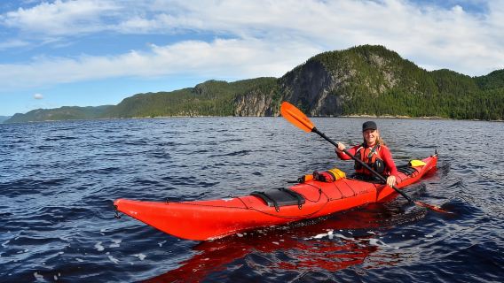 15 min Tadoussac: Guided Sea Kayaking Adventure