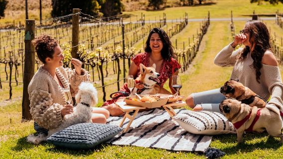 Brisbane: Piknik di Kebun Anggur