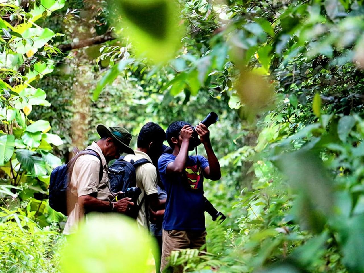 Sinharaja Rain Forest UNESCO Walk and Bird Watching Day Tour