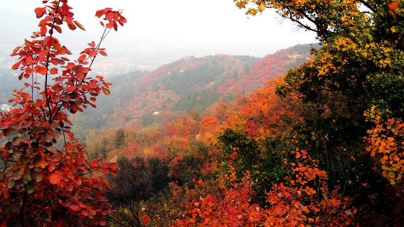 Xiangshan Park + Summer Palace 1-day tour [Private English-speaking guide and transfer service for 2-8 travelers]