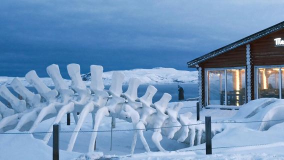 Однодневный тур в Териберку (с возможностью добавить развлекательные активности по наблюдению за китами)
