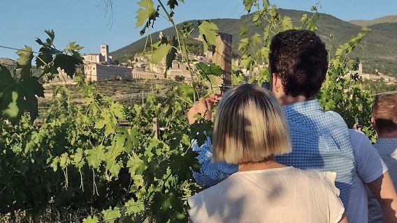 Pic nic Deluxe Assisi and wine tasting 5 wines