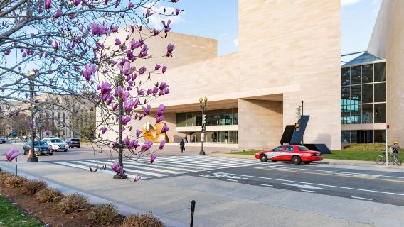 Highlights of National Gallery of Art Sculpture Garden Tour