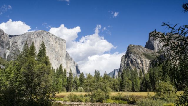 Lawatan sehari ke Taman Negara Yosemite pergi-balik dari San Francisco [Sewaan peribadi 12 jam dalam bahasa Cina]